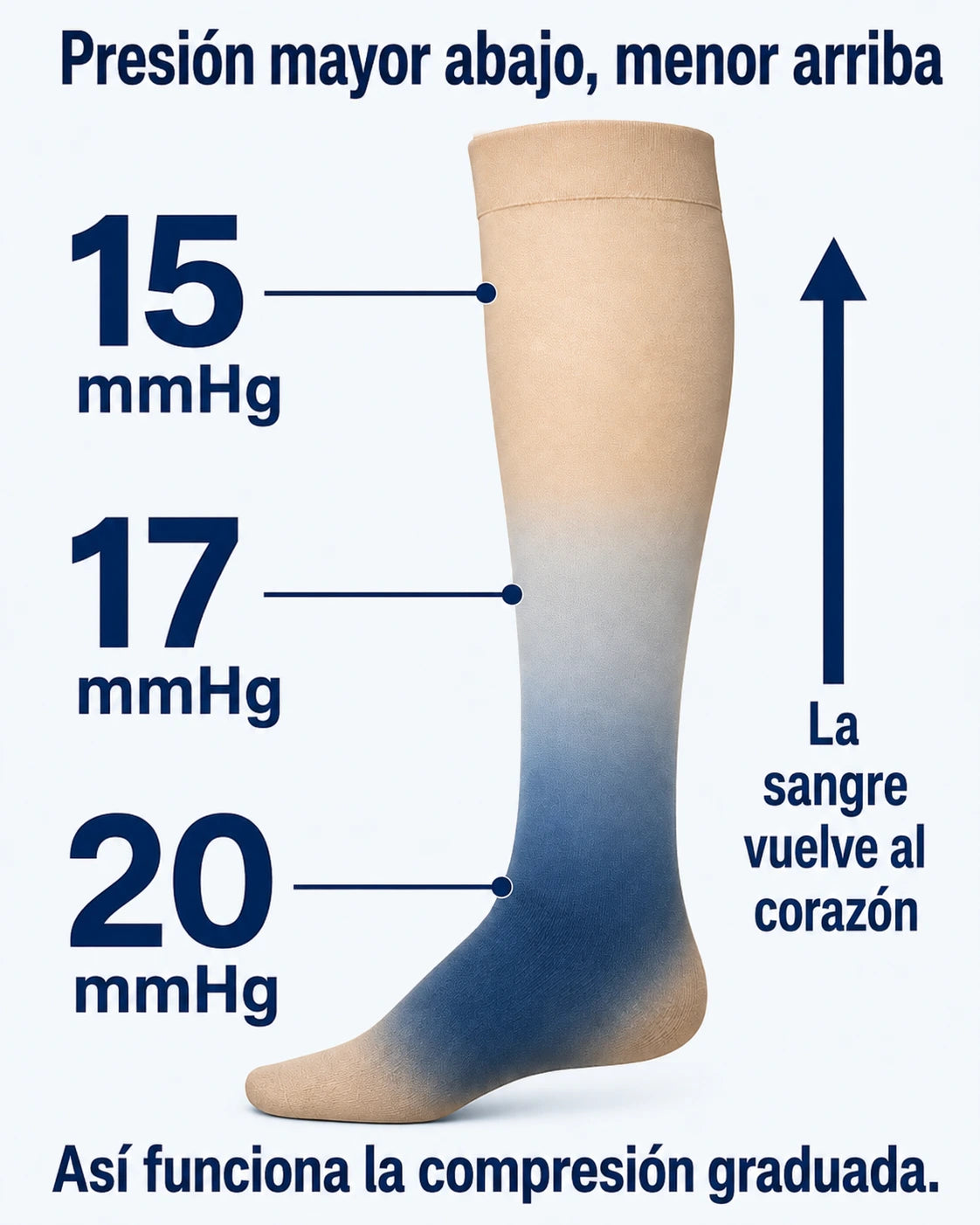 Diagrama de la compresión graduada: 20 mmHg en el tobillo, 15 bajo la rodilla